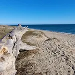 Plage: Atypique Bord De Méditerranée Torreilles